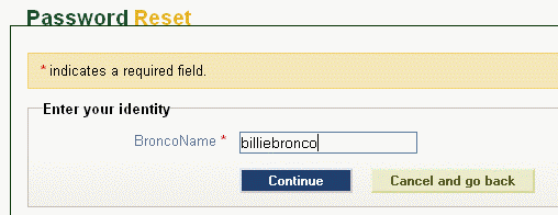 Enter your bronco name